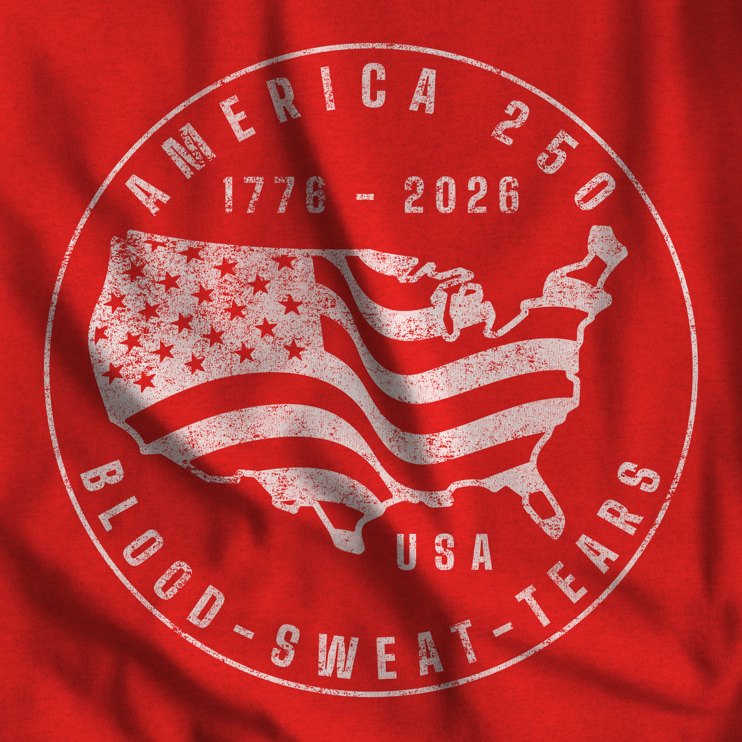 America 250 Blood Sweat Tears USA Graphic Tee